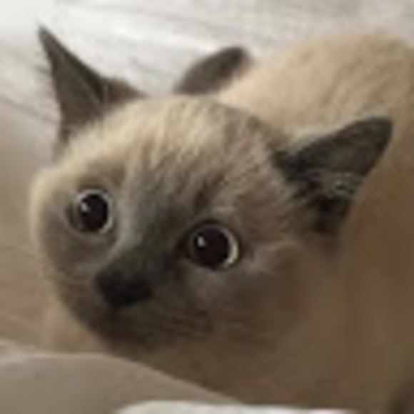 Meet your Posher, Quirky - Picture 1 of 1